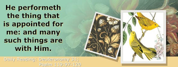 https://bibletruthpublishers.com/ComfortOfScriptures/wp-content/uploads/cos-hdg-2025-177.jpg
