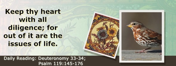 https://bibletruthpublishers.com/ComfortOfScriptures/wp-content/uploads/cos-hdg-2025-179.jpg