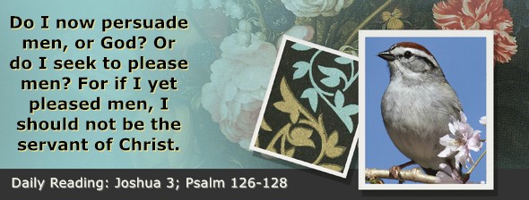 https://bibletruthpublishers.com/ComfortOfScriptures/wp-content/uploads/cos-hdg-2025-182.jpg