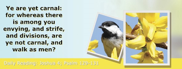 https://bibletruthpublishers.com/ComfortOfScriptures/wp-content/uploads/cos-hdg-2025-183.jpg