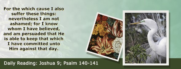 https://bibletruthpublishers.com/ComfortOfScriptures/wp-content/uploads/cos-hdg-2025-188.jpg