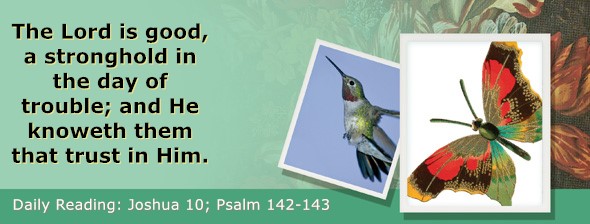 https://bibletruthpublishers.com/ComfortOfScriptures/wp-content/uploads/cos-hdg-2025-189.jpg