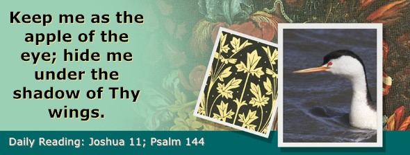 https://bibletruthpublishers.com/ComfortOfScriptures/wp-content/uploads/cos-hdg-2025-190.jpg