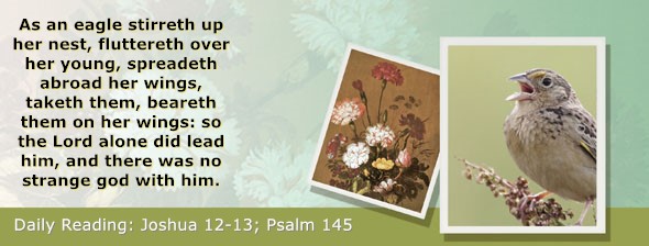 https://bibletruthpublishers.com/ComfortOfScriptures/wp-content/uploads/cos-hdg-2025-191.jpg
