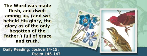 https://bibletruthpublishers.com/ComfortOfScriptures/wp-content/uploads/cos-hdg-2025-192.jpg