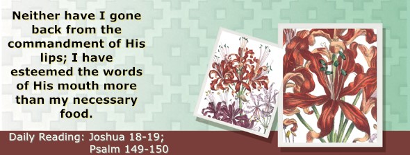https://bibletruthpublishers.com/ComfortOfScriptures/wp-content/uploads/cos-hdg-2025-194.jpg