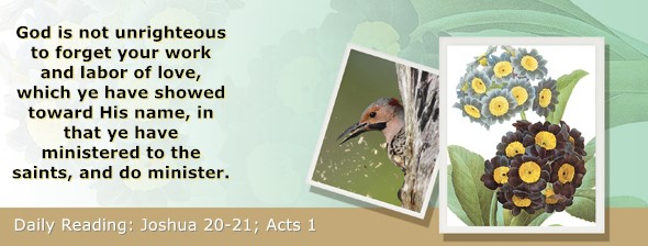 https://bibletruthpublishers.com/ComfortOfScriptures/wp-content/uploads/cos-hdg-2025-195.jpg