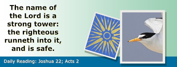 https://bibletruthpublishers.com/ComfortOfScriptures/wp-content/uploads/cos-hdg-2025-196.jpg