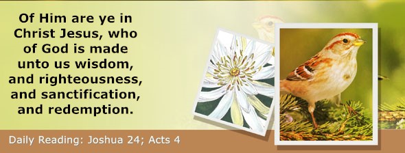 https://bibletruthpublishers.com/ComfortOfScriptures/wp-content/uploads/cos-hdg-2025-198.jpg