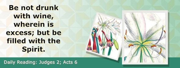 https://bibletruthpublishers.com/ComfortOfScriptures/wp-content/uploads/cos-hdg-2025-200.jpg