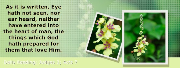 https://bibletruthpublishers.com/ComfortOfScriptures/wp-content/uploads/cos-hdg-2025-201.jpg
