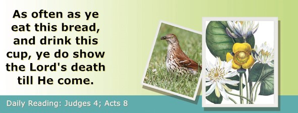 https://bibletruthpublishers.com/ComfortOfScriptures/wp-content/uploads/cos-hdg-2025-202.jpg