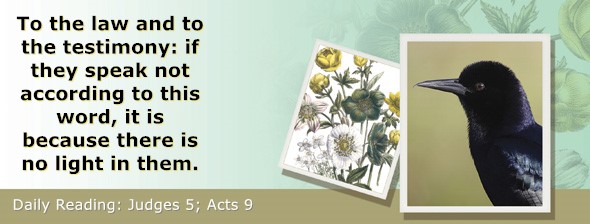 https://bibletruthpublishers.com/ComfortOfScriptures/wp-content/uploads/cos-hdg-2025-203.jpg