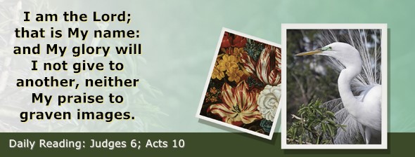 https://bibletruthpublishers.com/ComfortOfScriptures/wp-content/uploads/cos-hdg-2025-204.jpg