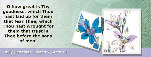 https://bibletruthpublishers.com/ComfortOfScriptures/wp-content/uploads/cos-hdg-2025-205.jpg