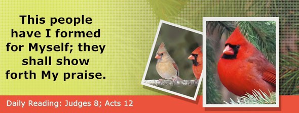 https://bibletruthpublishers.com/ComfortOfScriptures/wp-content/uploads/cos-hdg-2025-206.jpg