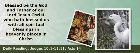 https://bibletruthpublishers.com/ComfortOfScriptures/wp-content/uploads/cos-hdg-2025-208.jpg