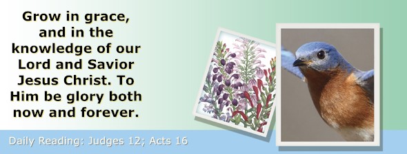 https://bibletruthpublishers.com/ComfortOfScriptures/wp-content/uploads/cos-hdg-2025-210.jpg