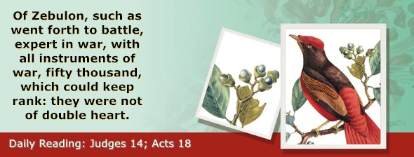 https://bibletruthpublishers.com/ComfortOfScriptures/wp-content/uploads/cos-hdg-2025-212.jpg