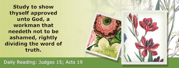 https://bibletruthpublishers.com/ComfortOfScriptures/wp-content/uploads/cos-hdg-2025-213.jpg