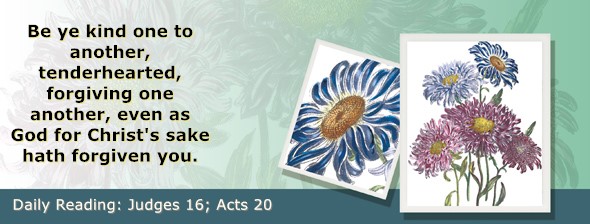 https://bibletruthpublishers.com/ComfortOfScriptures/wp-content/uploads/cos-hdg-2025-214.jpg