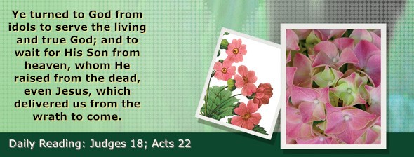 https://bibletruthpublishers.com/ComfortOfScriptures/wp-content/uploads/cos-hdg-2025-216.jpg