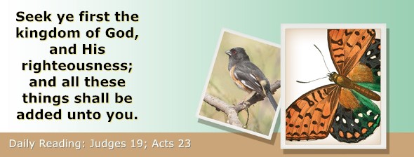 https://bibletruthpublishers.com/ComfortOfScriptures/wp-content/uploads/cos-hdg-2025-217.jpg