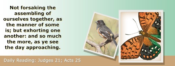 https://bibletruthpublishers.com/ComfortOfScriptures/wp-content/uploads/cos-hdg-2025-219.jpg