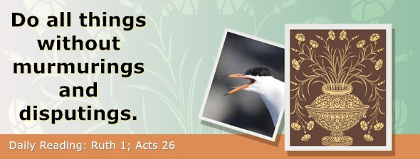 https://bibletruthpublishers.com/ComfortOfScriptures/wp-content/uploads/cos-hdg-2025-220.jpg