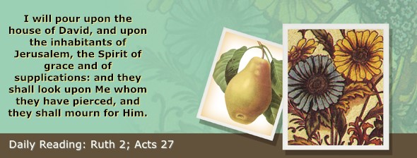 https://bibletruthpublishers.com/ComfortOfScriptures/wp-content/uploads/cos-hdg-2025-221.jpg