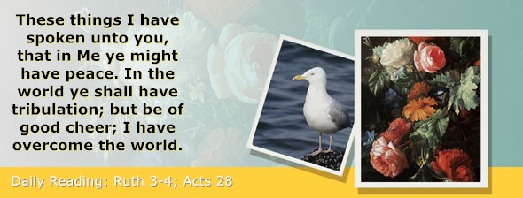 https://bibletruthpublishers.com/ComfortOfScriptures/wp-content/uploads/cos-hdg-2025-222.jpg