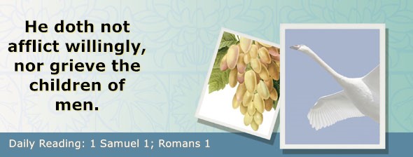 https://bibletruthpublishers.com/ComfortOfScriptures/wp-content/uploads/cos-hdg-2025-223.jpg
