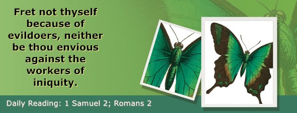 https://bibletruthpublishers.com/ComfortOfScriptures/wp-content/uploads/cos-hdg-2025-224.jpg