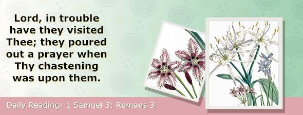 https://bibletruthpublishers.com/ComfortOfScriptures/wp-content/uploads/cos-hdg-2025-225.jpg
