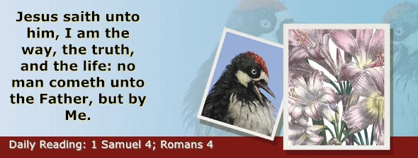 https://bibletruthpublishers.com/ComfortOfScriptures/wp-content/uploads/cos-hdg-2025-226.jpg
