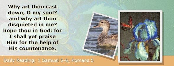 https://bibletruthpublishers.com/ComfortOfScriptures/wp-content/uploads/cos-hdg-2025-227.jpg