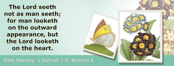 https://bibletruthpublishers.com/ComfortOfScriptures/wp-content/uploads/cos-hdg-2025-228.jpg
