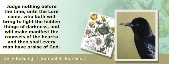 https://bibletruthpublishers.com/ComfortOfScriptures/wp-content/uploads/cos-hdg-2025-229.jpg