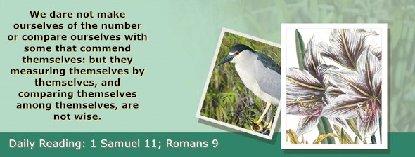 https://bibletruthpublishers.com/ComfortOfScriptures/wp-content/uploads/cos-hdg-2025-231.jpg