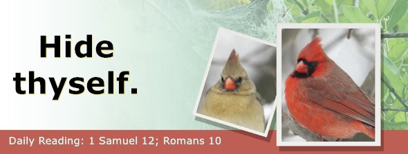 https://bibletruthpublishers.com/ComfortOfScriptures/wp-content/uploads/cos-hdg-2025-232.jpg