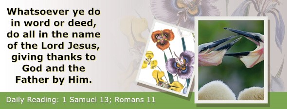 https://bibletruthpublishers.com/ComfortOfScriptures/wp-content/uploads/cos-hdg-2025-233.jpg