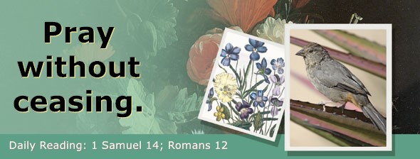 https://bibletruthpublishers.com/ComfortOfScriptures/wp-content/uploads/cos-hdg-2025-234.jpg