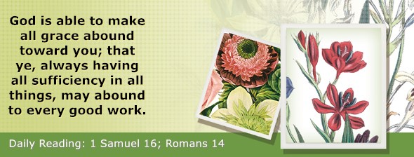 https://bibletruthpublishers.com/ComfortOfScriptures/wp-content/uploads/cos-hdg-2025-236.jpg
