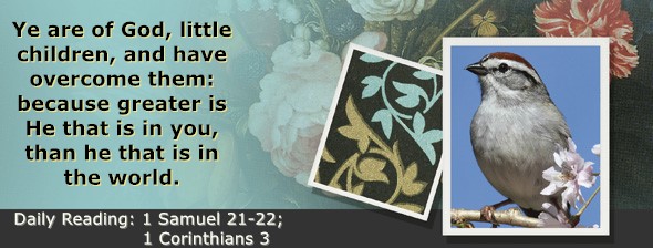 https://bibletruthpublishers.com/ComfortOfScriptures/wp-content/uploads/cos-hdg-2025-241.jpg