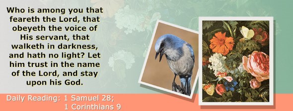 https://bibletruthpublishers.com/ComfortOfScriptures/wp-content/uploads/cos-hdg-2025-247.jpg