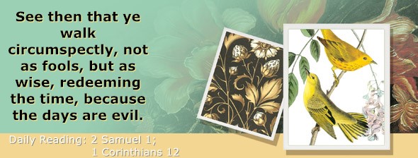 https://bibletruthpublishers.com/ComfortOfScriptures/wp-content/uploads/cos-hdg-2025-250.jpg
