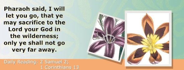 https://bibletruthpublishers.com/ComfortOfScriptures/wp-content/uploads/cos-hdg-2025-251.jpg