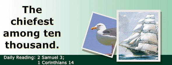 https://bibletruthpublishers.com/ComfortOfScriptures/wp-content/uploads/cos-hdg-2025-252.jpg