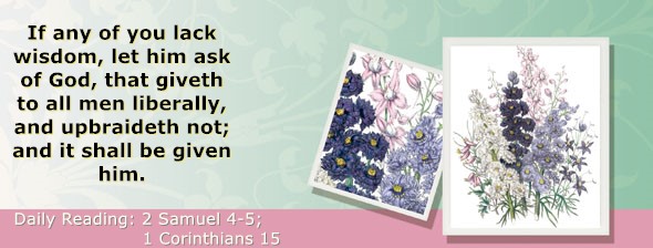https://bibletruthpublishers.com/ComfortOfScriptures/wp-content/uploads/cos-hdg-2025-253.jpg