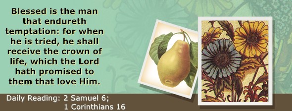 https://bibletruthpublishers.com/ComfortOfScriptures/wp-content/uploads/cos-hdg-2025-254.jpg